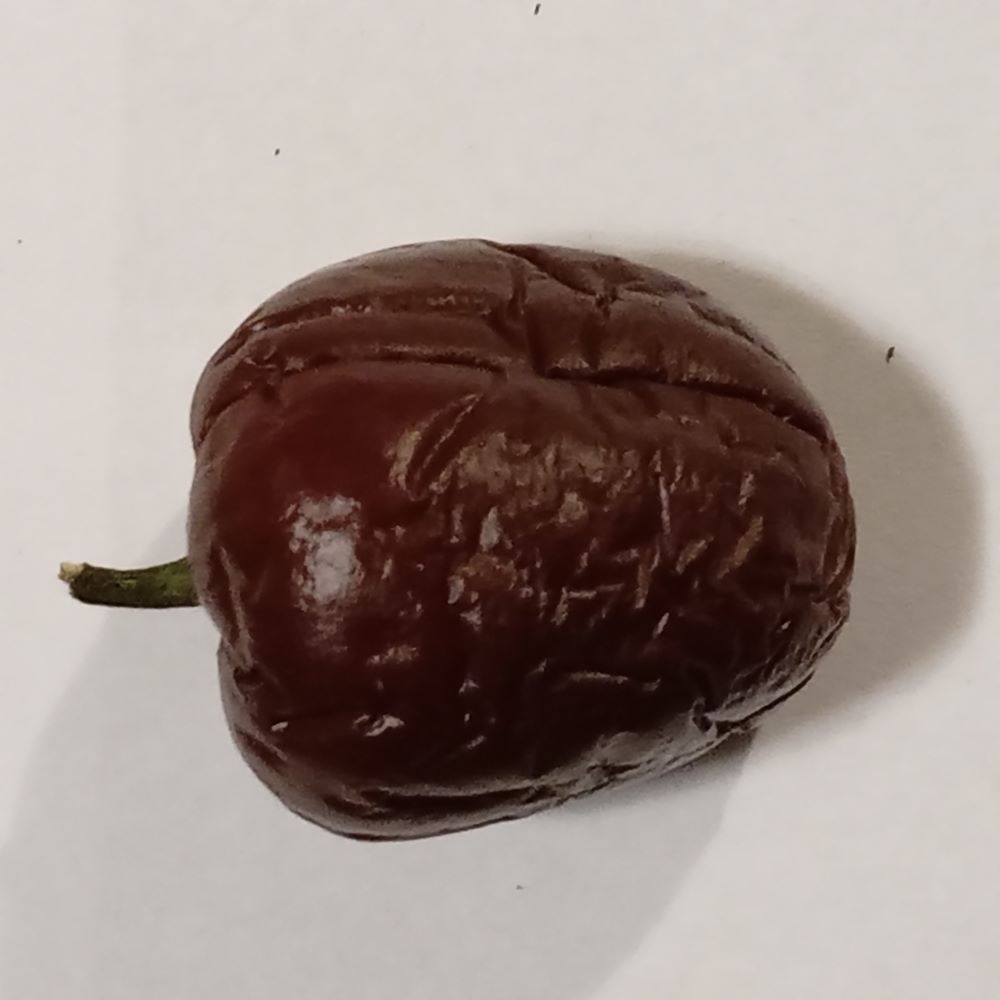 Seminţe Ardei - Rocoto Mini Brown