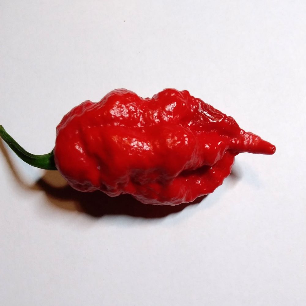 Seminţe Ardei - Scorpion Moruga Red Satan