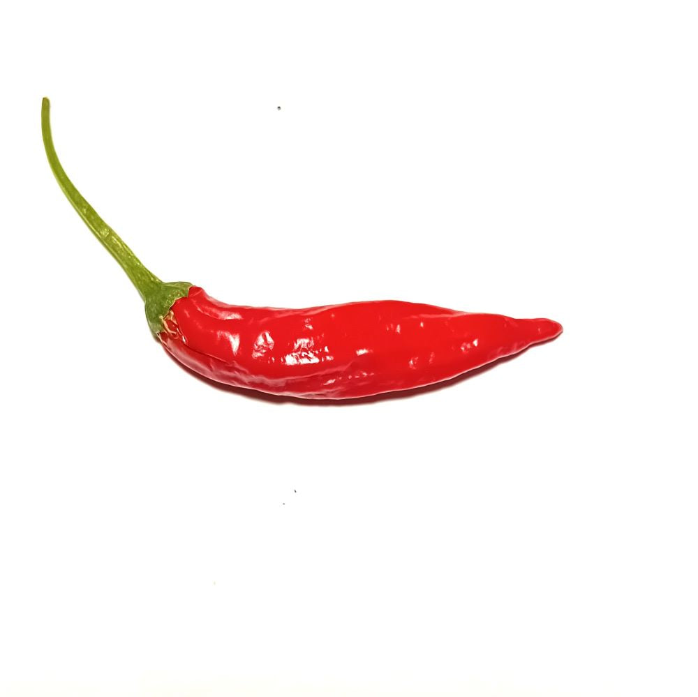 Pepper Seedling - Hurt Berry