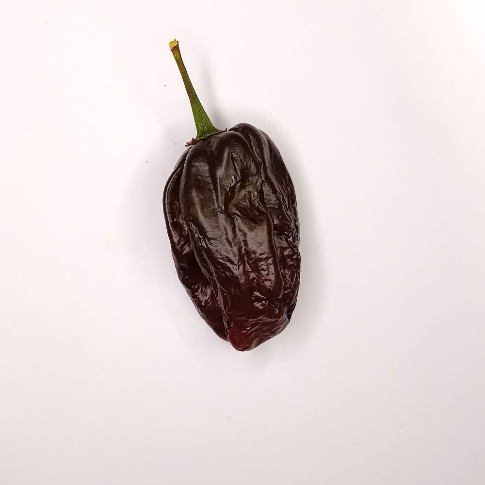 Seminţe Ardei - Swiss Chocolate