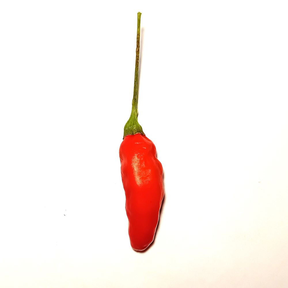 Seminţe Ardei - Tabasco Long