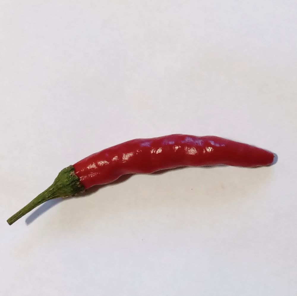 Seminţe Ardei - Thai Hot Culinary Red