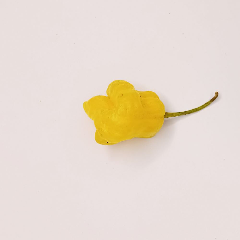 Seminţe Ardei - Trinidad Perfume