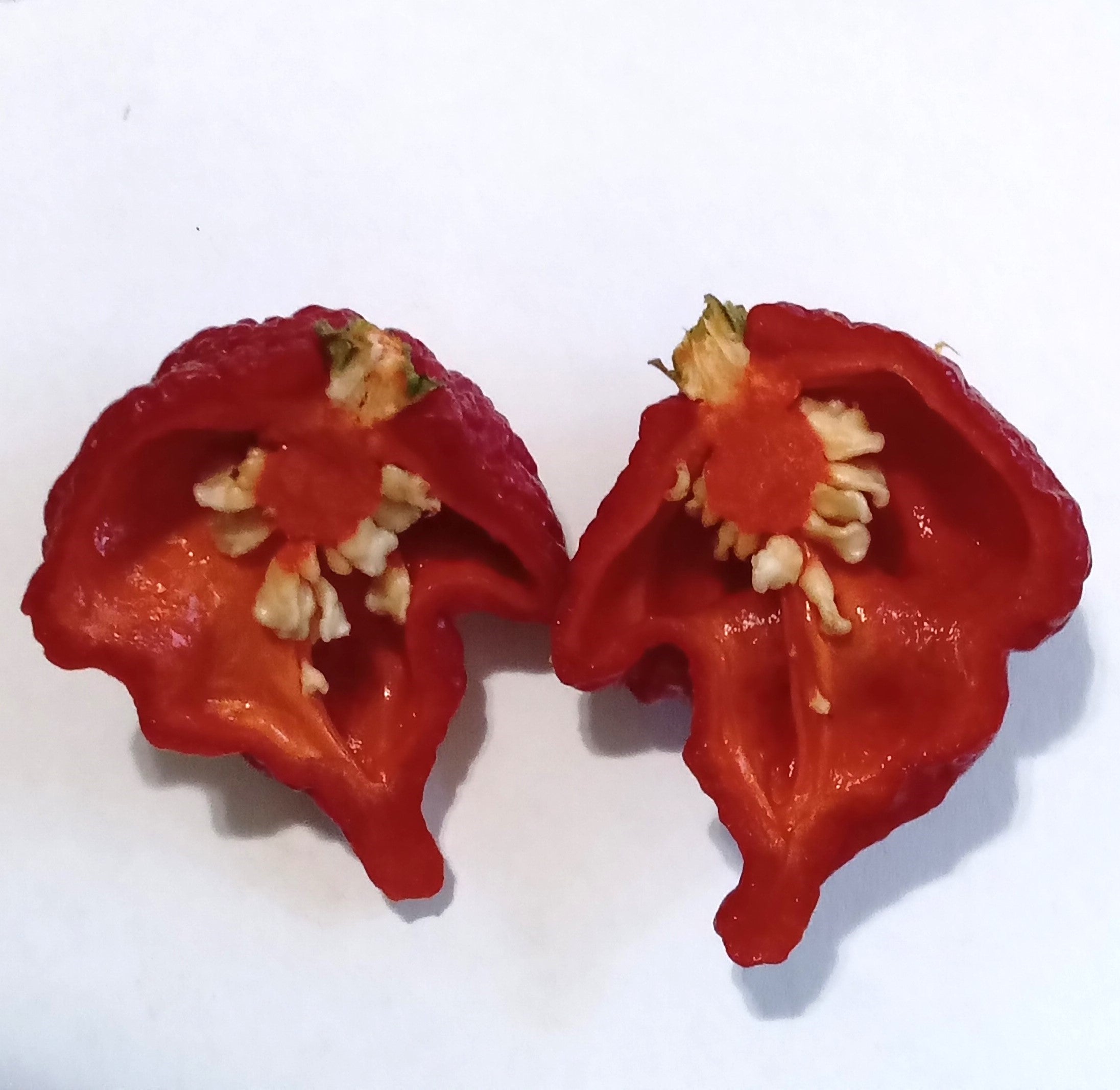 Seminţe Ardei - Hurt Berry