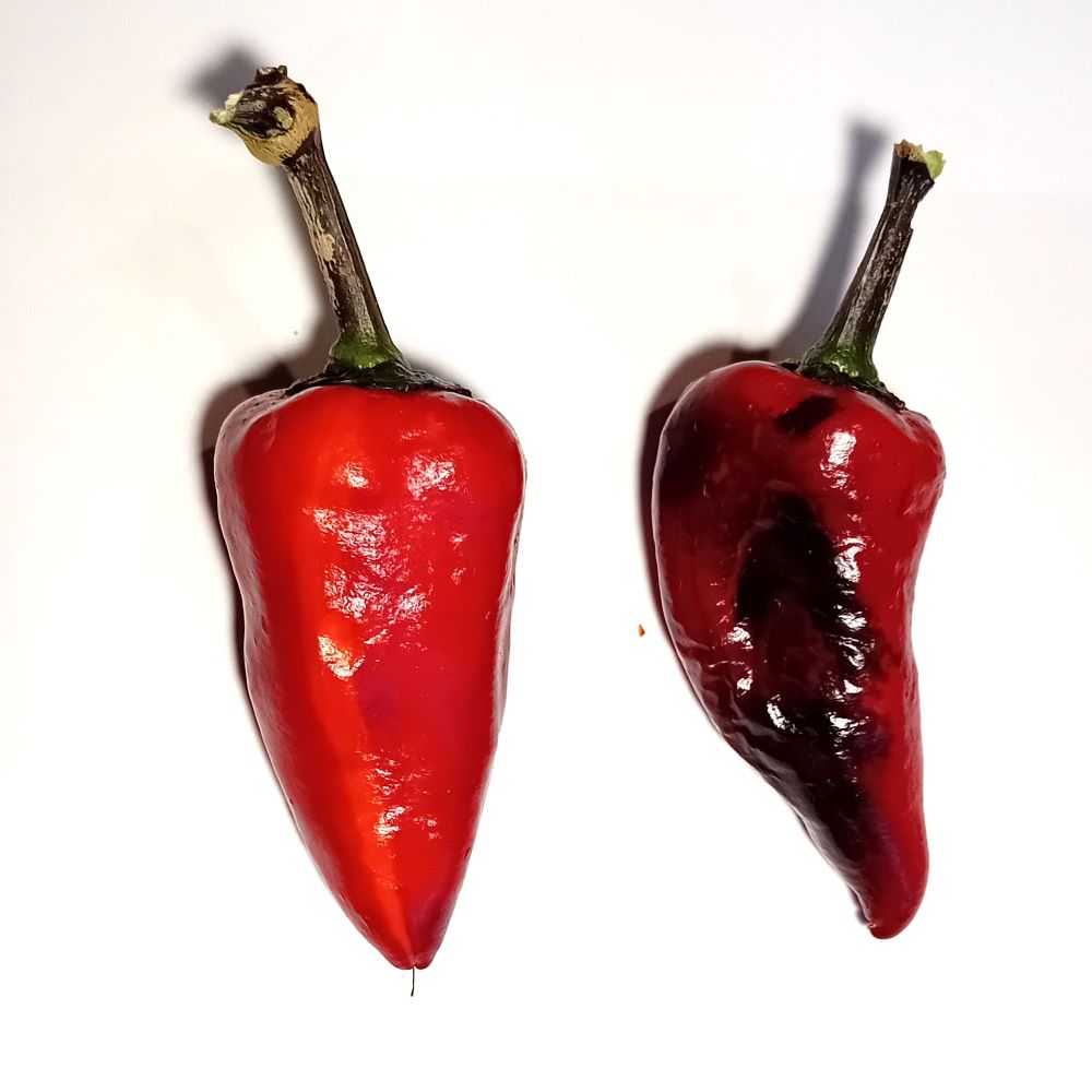 Seminţe Ardei - Jalapeno Black