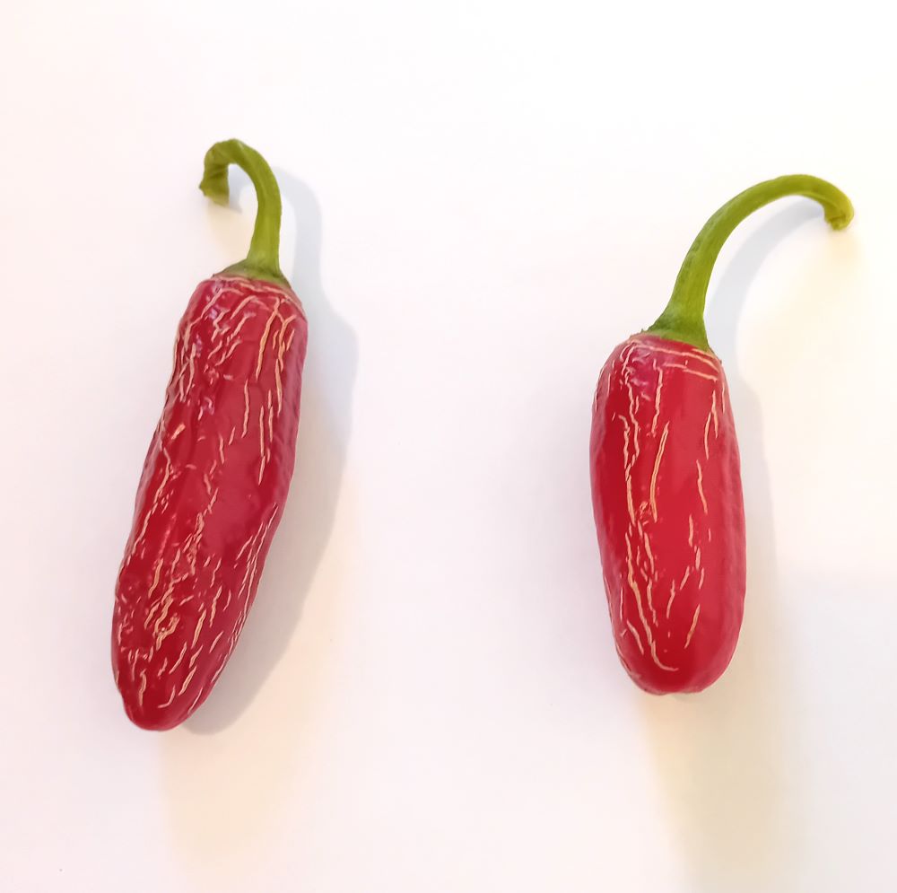 Seminţe Ardei - Jalapeno Numex Vaquero