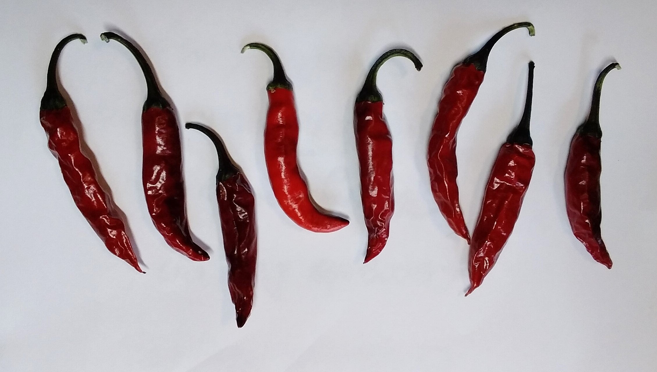 Seminţe Ardei - Krishna Jolokia