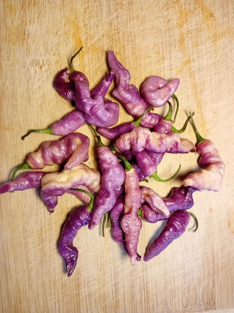 Seminţe Ardei - Pink Tiger