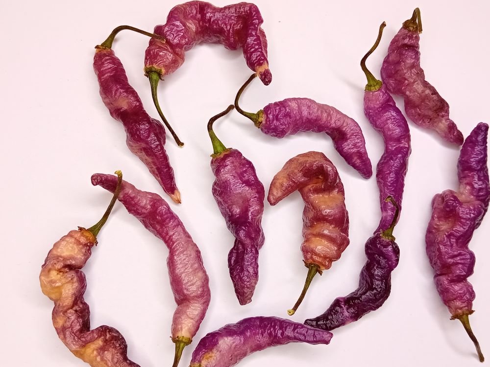 Seminţe Ardei - Pink Tiger