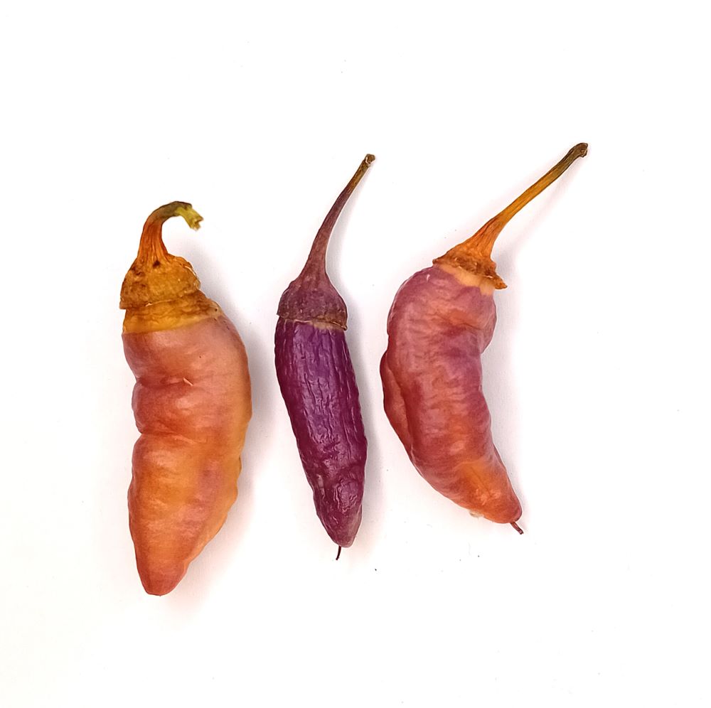 Seminţe Ardei - Pink Tiger BBG7