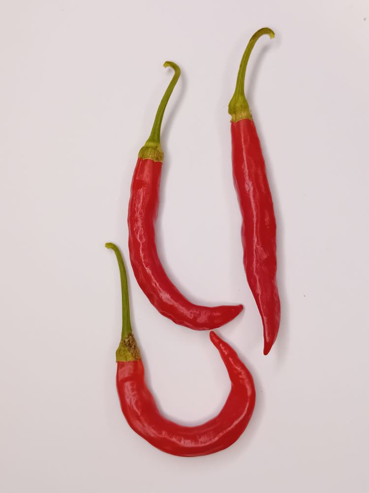 Seminţe Ardei - Prik Nam Sri