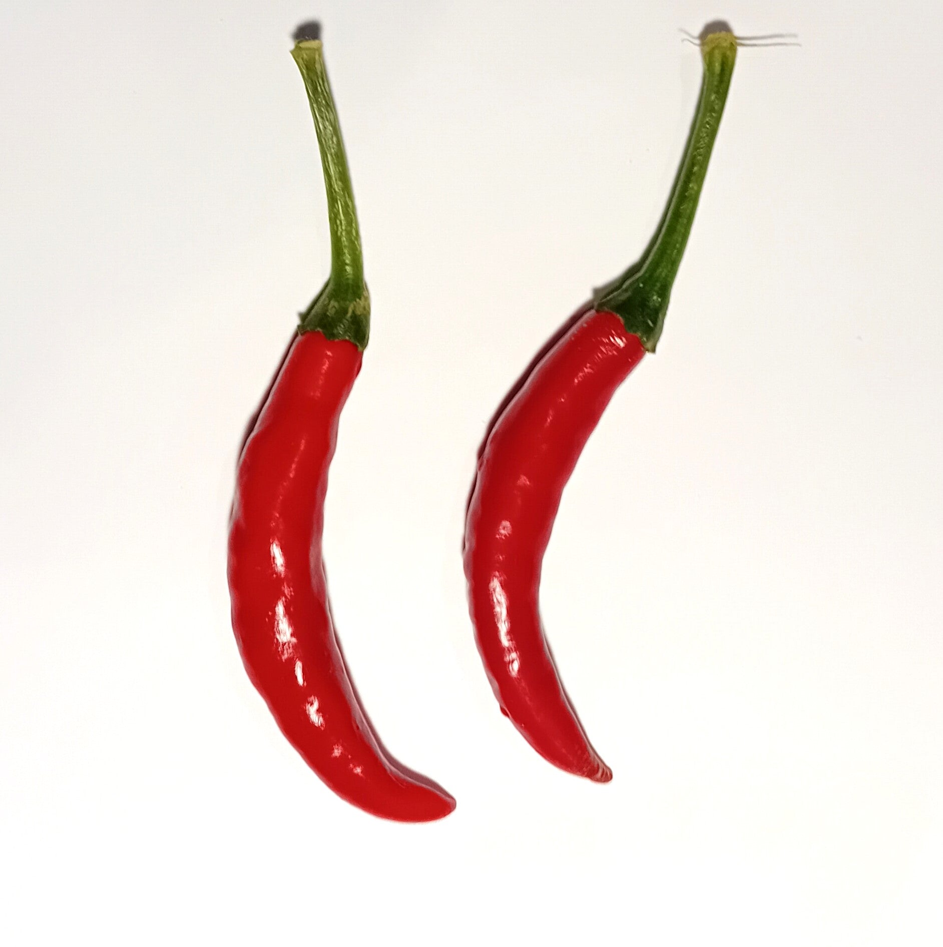 Seminţe Ardei - Prik Phuket