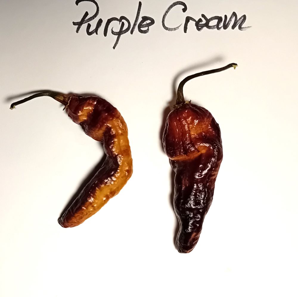 Pepper Seedling - Hurt Berry