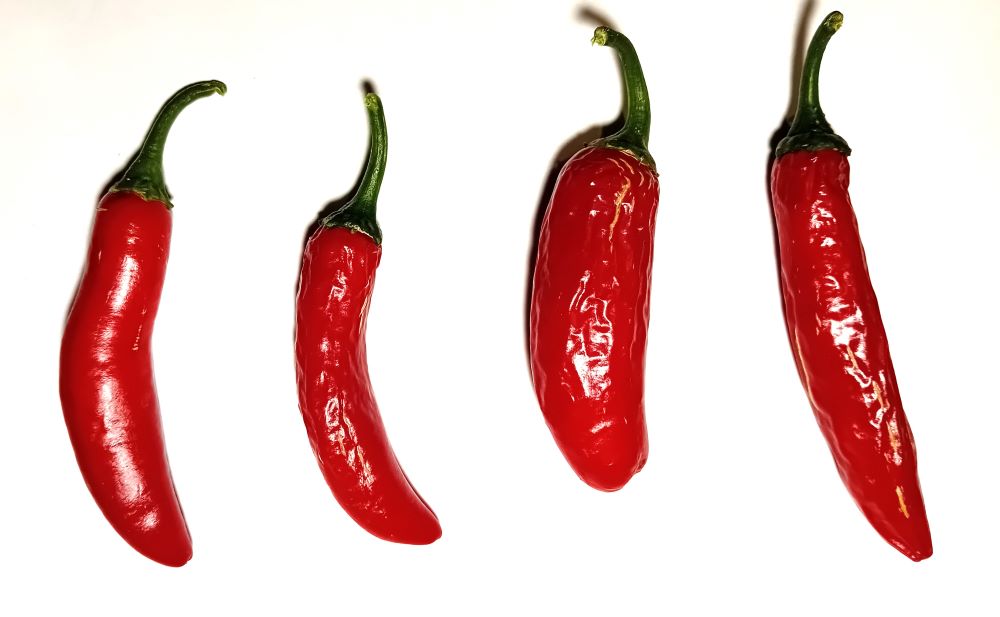 Seminţe Ardei - Serrano Tampiqueno