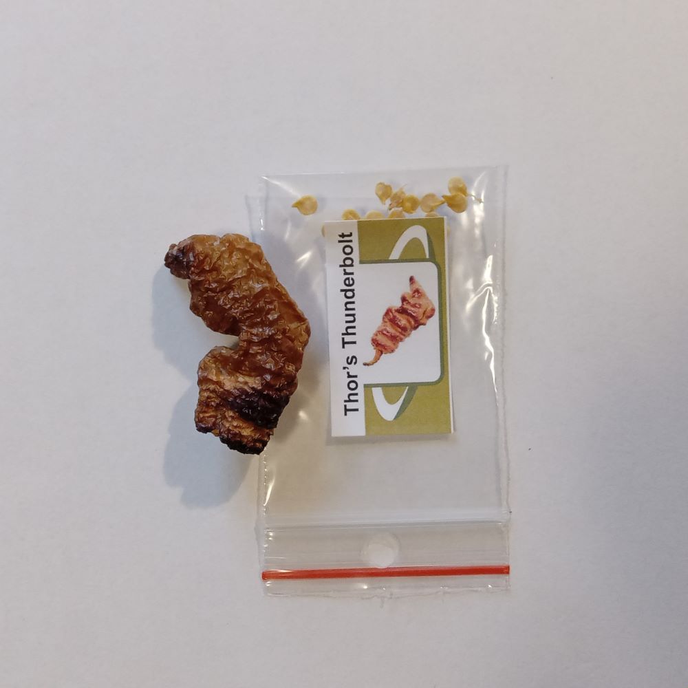 Seminţe Ardei - Thor's Thunderbolt